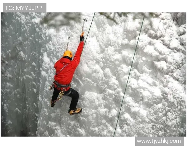 武汉极限运动队在世界攀岩锦标赛中的耐力表现分析与点评